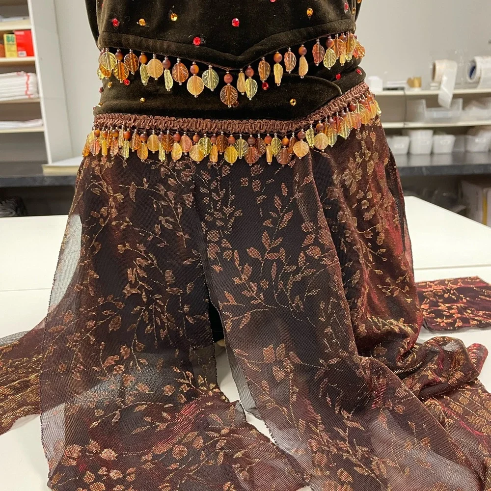 The line up brown velour dance costume rhinestones. Beaded trim.